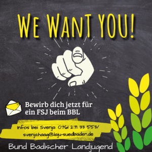 Bundesfreiwilligendienst